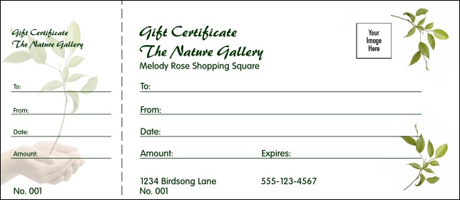 Sapling Gift Certificate