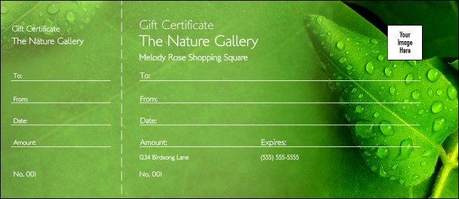 Raindrops Gift Certificate